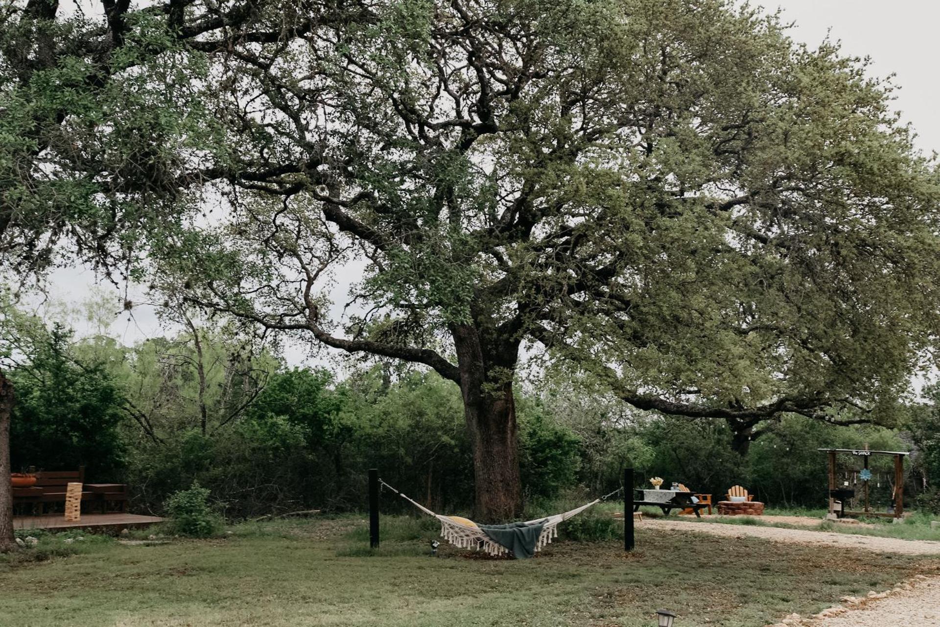 The Maverick: A-Frame W/ Hammock And Tree Top View New Braunfels Bagian luar foto